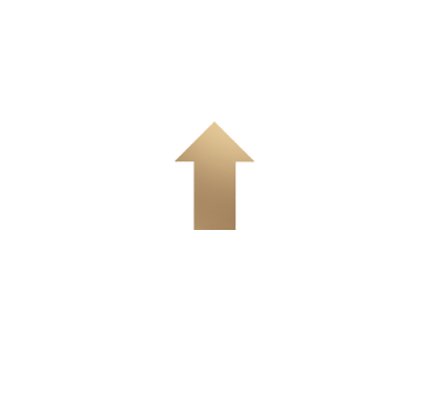 START Logo